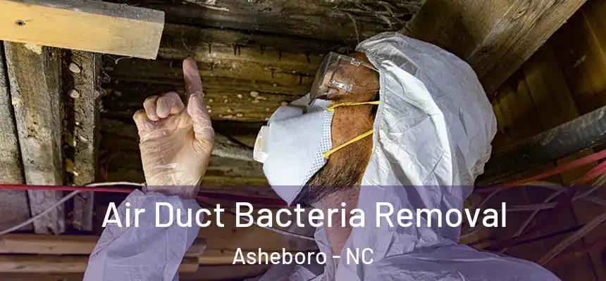 Air Duct Bacteria Removal Asheboro - NC