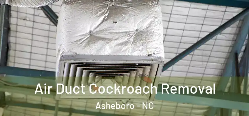  Air Duct Cockroach Removal Asheboro - NC