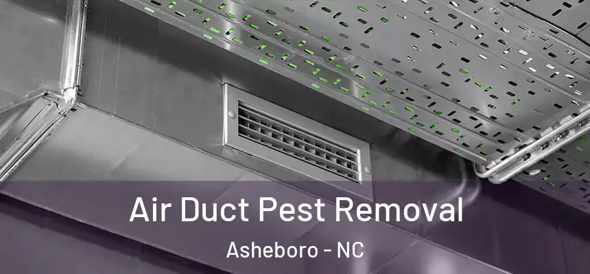  Air Duct Pest Removal Asheboro - NC