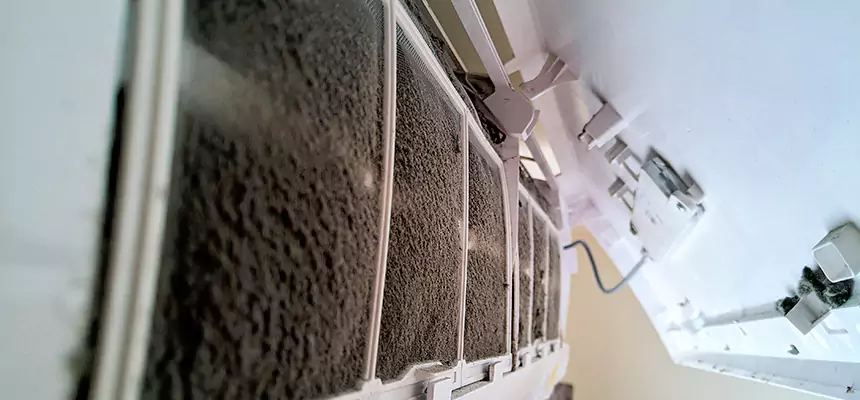 Preventive Air Duct Bacteria Removal in Asheboro