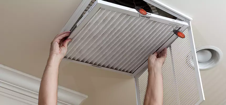Preventive Cockroach-Proofing for Ducts in Asheboro