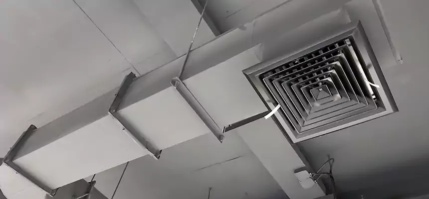 Our Pest Removal From Ducts Services in Asheboro, NC