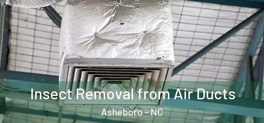  Insect Removal from Air Ducts Asheboro - NC