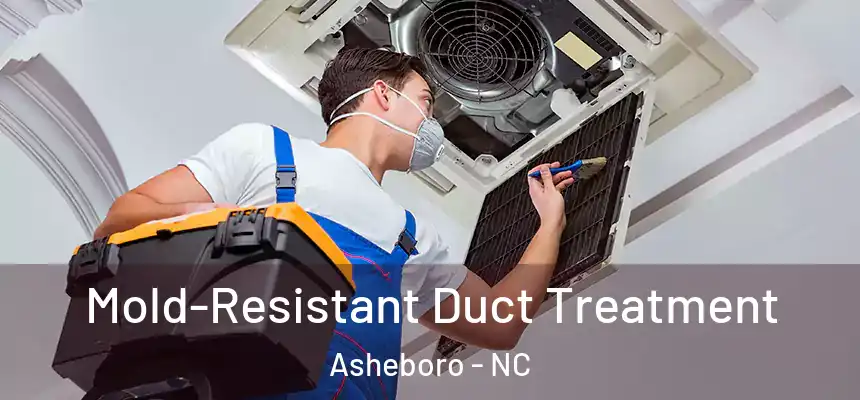  Mold-Resistant Duct Treatment Asheboro - NC