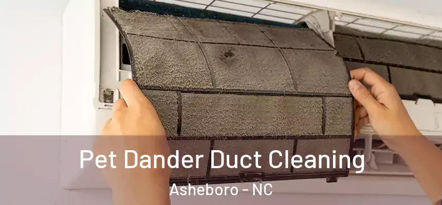 Pet Dander Duct Cleaning Asheboro - NC