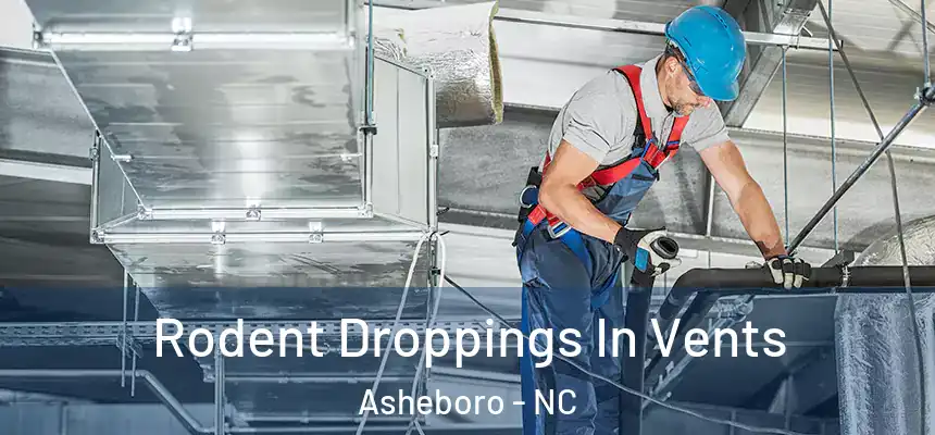  Rodent Droppings In Vents Asheboro - NC