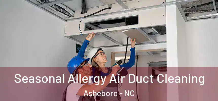  Seasonal Allergy Air Duct Cleaning Asheboro - NC