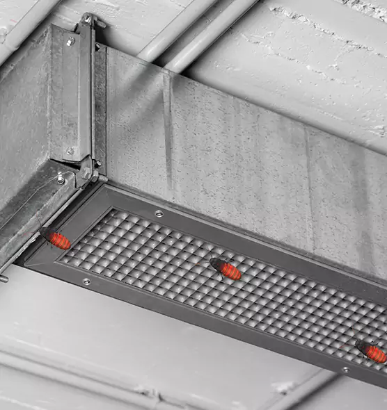 About Air Duct Cockroach Removal in Asheboro, NC