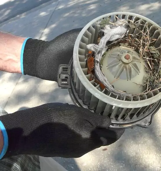 About Air Duct Mice Removal in Asheboro, NC