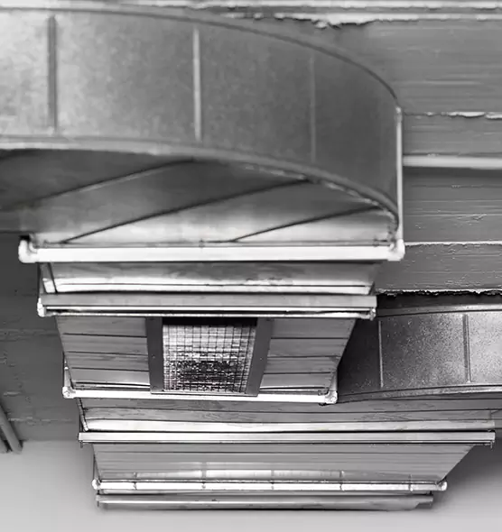 Professional Air Duct Pest Removal in Asheboro, NC