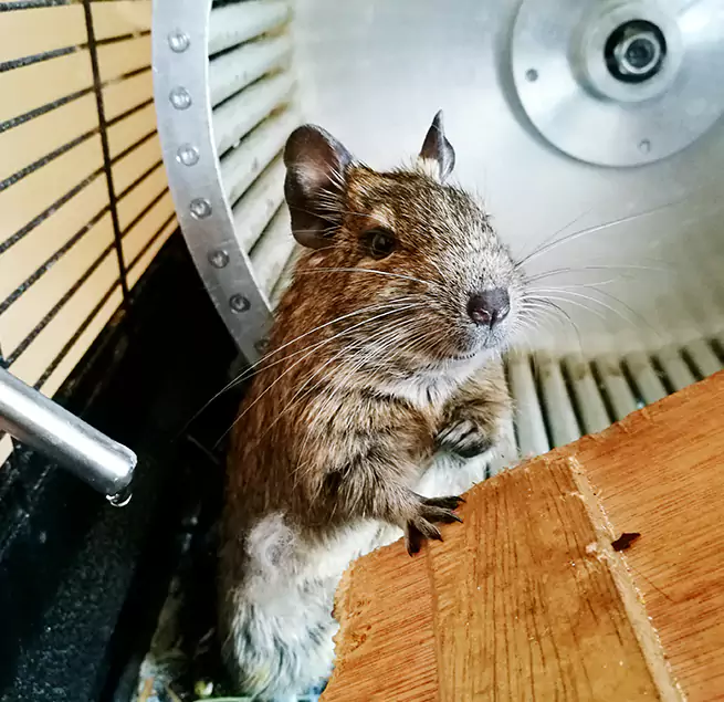 Why Homeowners & Businesses Trust Us Asheboro, NC?