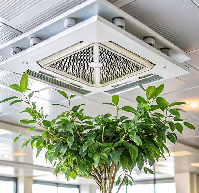 Why Homeowners & Businesses Trust Us in Asheboro, NC?